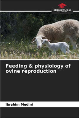 Feeding & physiology of ovine reproduction