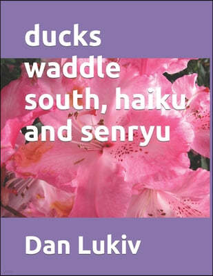 ducks waddle south, haiku and senryu