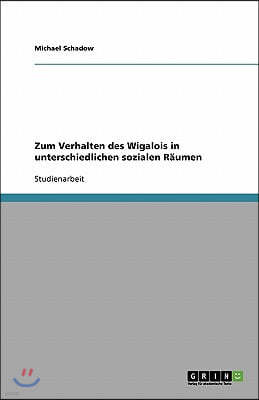 Zum Verhalten des Wigalois in unterschiedlichen sozialen Räumen