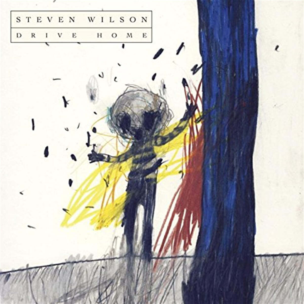 Steven Wilson (스티븐 윌슨) - Drive Home [CD+DVD] 