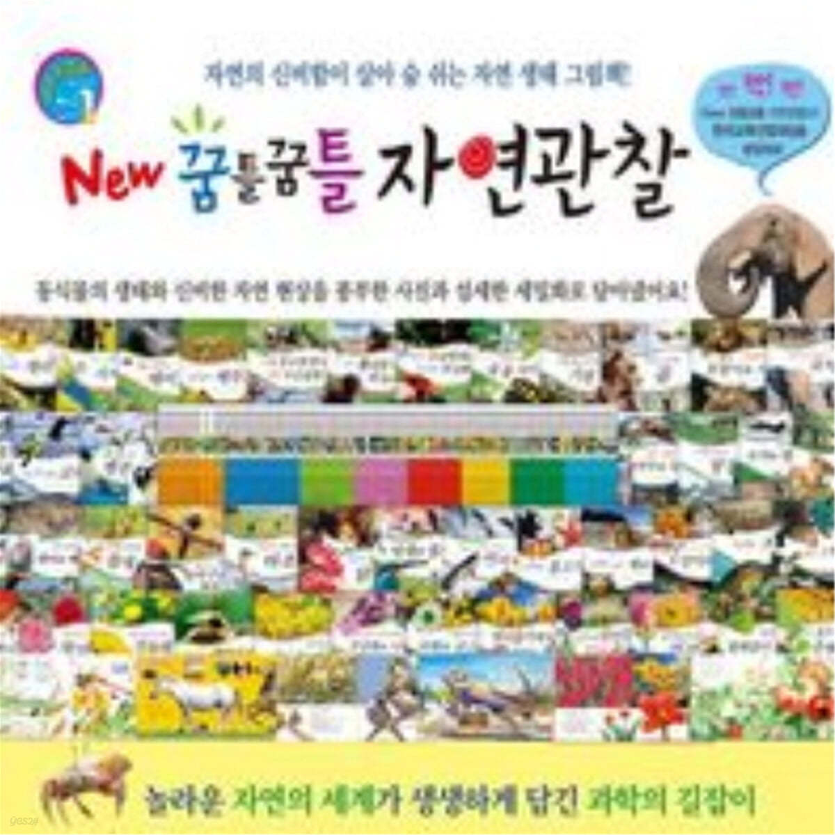 꿈틀꿈틀 자연관찰 세트