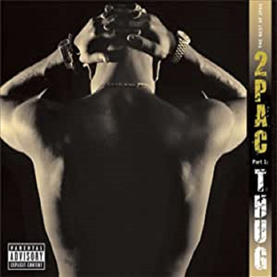2Pac,Tupac Shakur — Best Of 2pac - Part 1: Thug (Gatefold) 앨범 커버