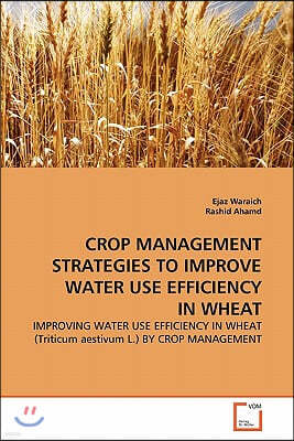 Crop Management Strategies to Improve Water Use Efficiency in Wheat