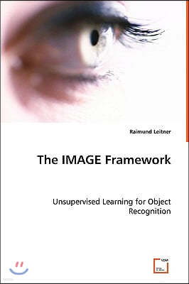 The IMAGE Framework