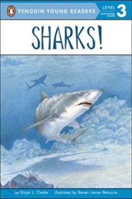 [߰] Sharks!