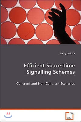 Efficient Space-Time Signalling Schemes