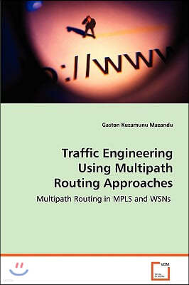 Traffic Engineering Using Multipath Routing Approaches