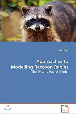 Approaches to Modelling Raccoon Rabies