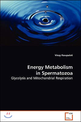 Energy Metabolism in Spermatozoa