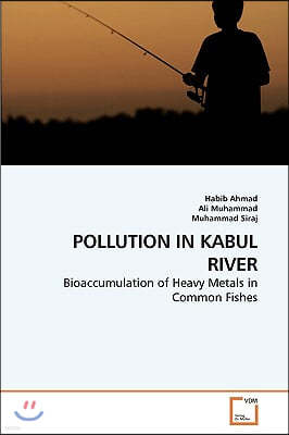 Pollution in Kabul River