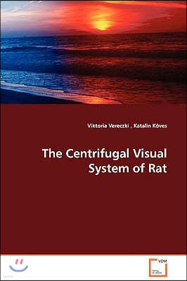 The Centrifugal Visual System of Rat