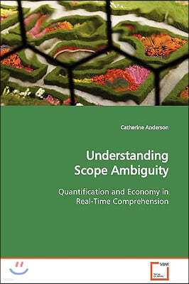 Understanding Scope Ambiguity