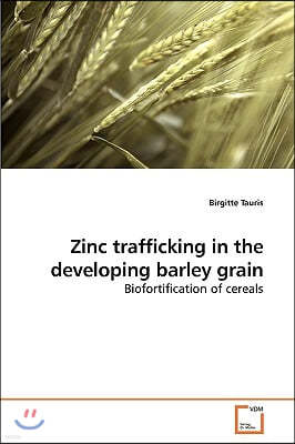 Zinc trafficking in the developing barley grain