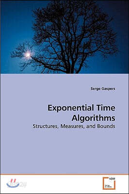 Exponential Time Algorithms