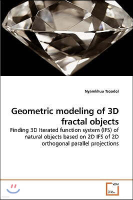 Geometric modeling of 3D fractal objects