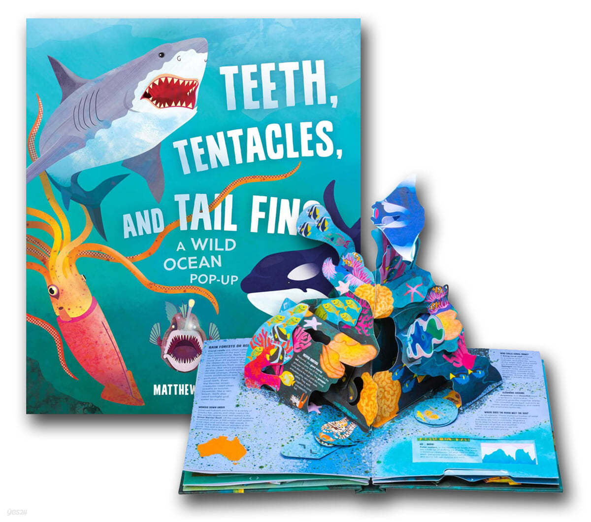 Teeth, Tentacles, and Tail Fins: A Wild Ocean Pop-Up