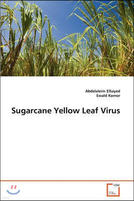 Sugarcane Yellow Leaf Virus