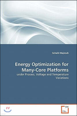 Energy Optimization for Many-Core Platforms