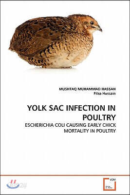 Yolk Sac Infection in Poultry