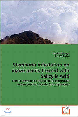 Stemborer infestation on maize plants treated with Salicylic Acid