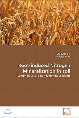 Root-induced Nitrogen Mineralization in soil