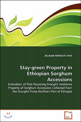 Stay-green Property in Ethiopian Sorghum Accessions