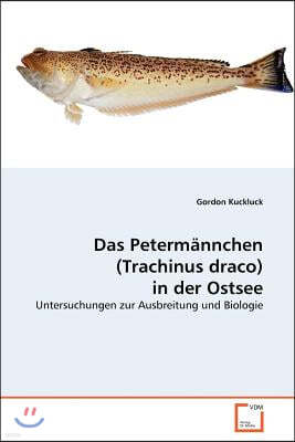 Das Petermannchen (Trachinus draco) in der ?Ostsee