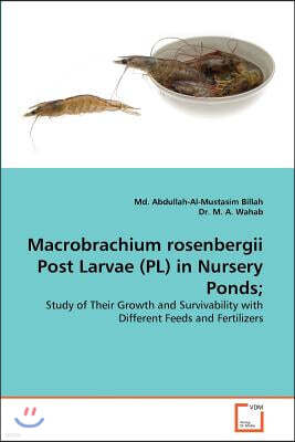 Macrobrachium rosenbergii Post Larvae (PL) in Nursery Ponds;