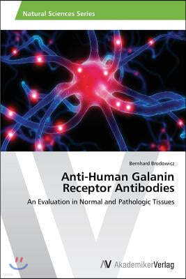 Anti-Human Galanin Receptor Antibodies