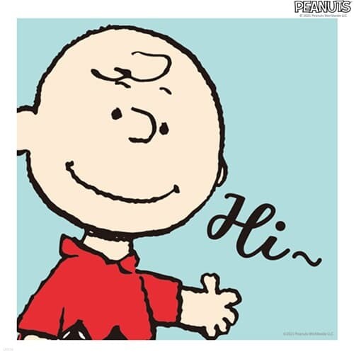 스누피 피너츠 그림그리기 페인팅 하이 찰리 20X20