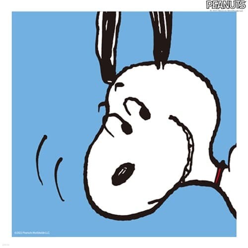 스누피 피너츠 그림그리기 페인팅 하이 스누피 20X20