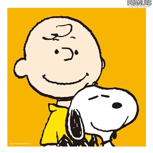 스누피 피너츠 그림그리기 페인팅 프렌즈스누피 20X20