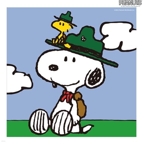 스누피 피너츠 그림그리기 페인팅 캠프스누피 20X20