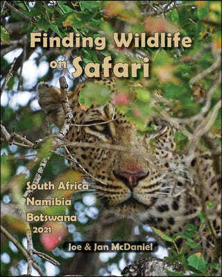 Finding Wildlife On Safari