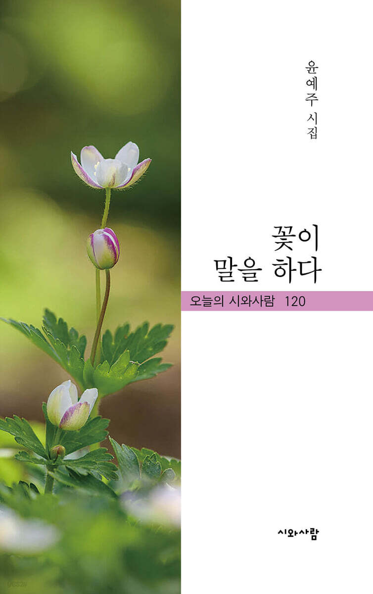 꽃으로 말을 하다