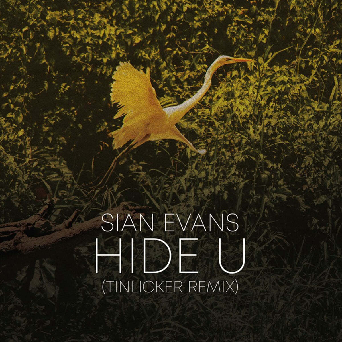 Sian Evans (시안 에반스) - Hide U (Tinlicker Remix) / Because You Move Me [LP] 