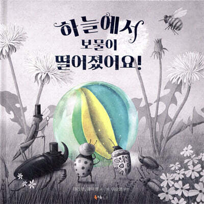 하늘에서 보물이 떨어졌어요