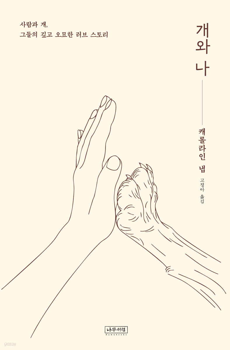 개와 나