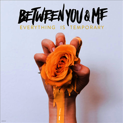 Between You & Me — Everything Is Temporary 앨범 커버