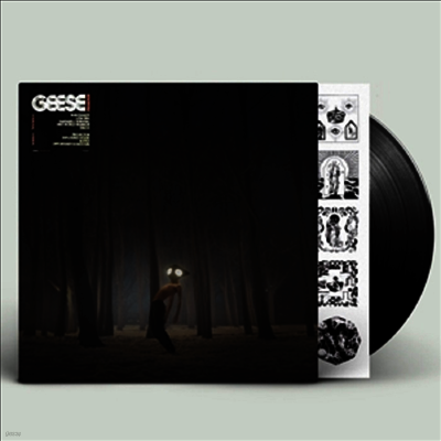 Geese — Projector 앨범 커버