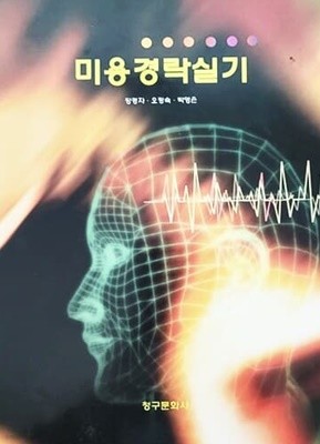 미용경락실기 (2008년)