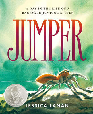 Jumper: A Day in the Life of a Backyard Jumping Spider