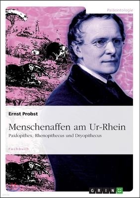 Menschenaffen am Ur-Rhein: Paidopithex, Rhenopithecus und Dryopithecus