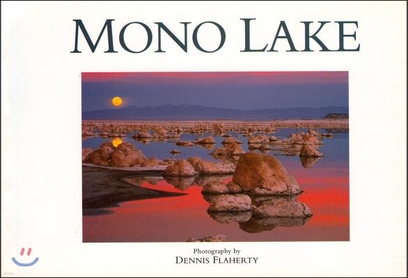 Mono Lake: Twenty Postcards