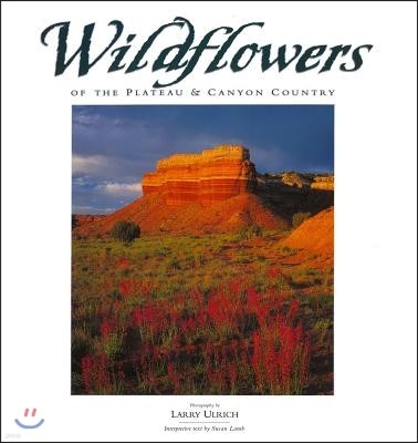 Wildflowers of the Plateau & Canyon Country