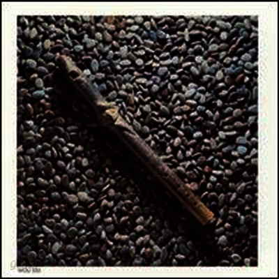 Herbie Mann - Stone Flute (CD)