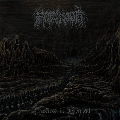 Mortiferum — Preserved In Torment 앨범 커버