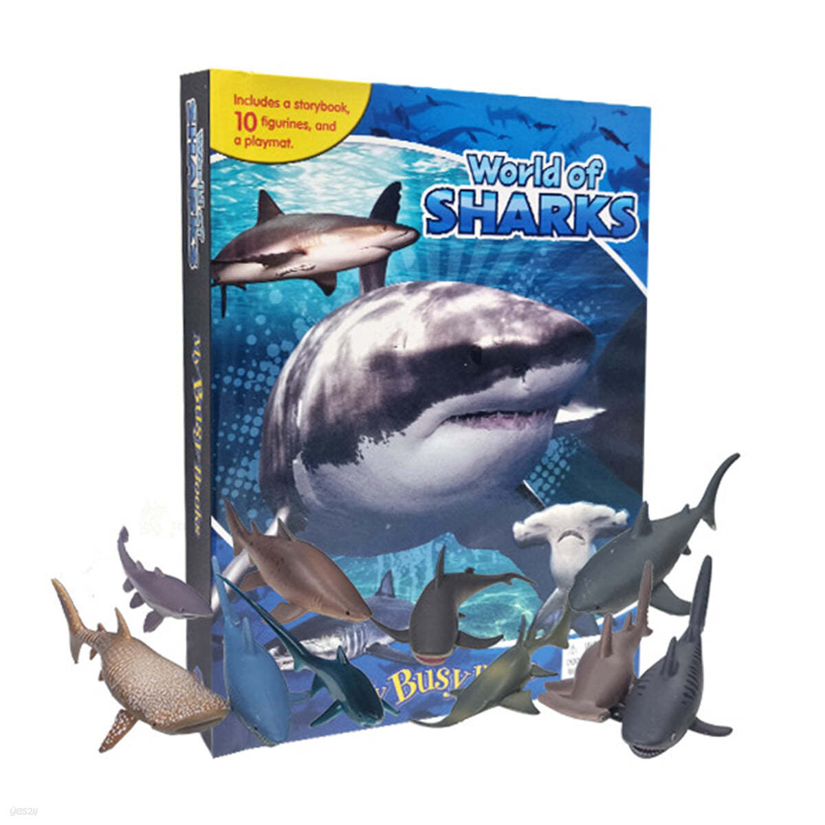 World of Sharks My Busy Books 월드 오브 샤크 마이 비지북