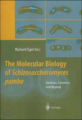 The Molecular Biology of Schizosaccharomyces Pombe: Genetics, Genomics and Beyond