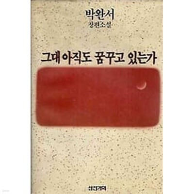 박완서 장편소설 - 그대 아직도 꿈꾸고 있는가